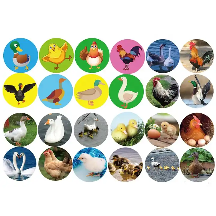 12PCS Poultry projection light egg set toys children educational toys for school learning creative dinosaur egg toy